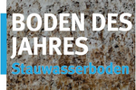 Boden des Jahres 2015