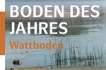 Boden des Jahres 2020